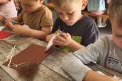 IMG-20250605-WA0069