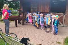 IMG-20250605-WA0130