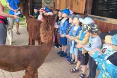 IMG-20250605-WA0150
