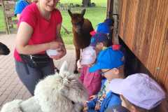 IMG-20250605-WA0156