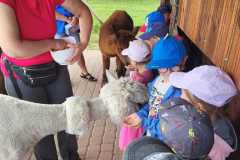 IMG-20250605-WA0157