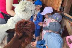 IMG-20250605-WA0160