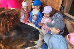 IMG-20250605-WA0162