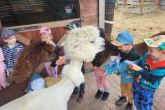 IMG-20250605-WA0167