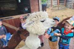 IMG-20250605-WA0170