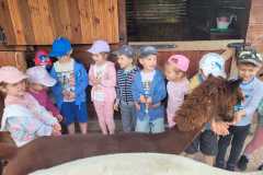 IMG-20250605-WA0172
