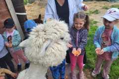 IMG-20250605-WA0173