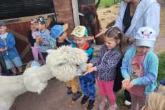IMG-20250605-WA0175