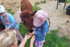 IMG-20250605-WA0177