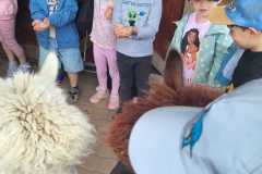 IMG-20250605-WA0187