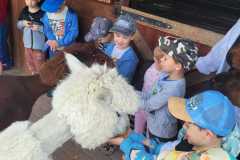 IMG-20250605-WA0189