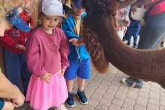 IMG-20250605-WA0194