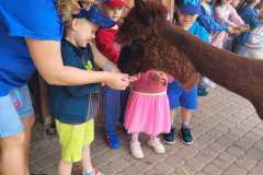 IMG-20250605-WA0195
