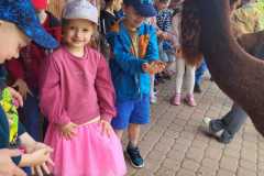 IMG-20250605-WA0196