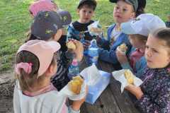 IMG-20250605-WA0221