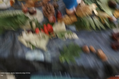 IMG_20240923_092608945