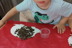 IMG_20230926_091904711