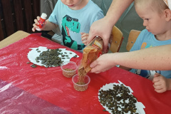 IMG_20230926_092120296