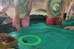 IMG_20230927_085903544