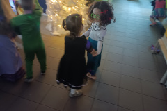 IMG_20250109_104727