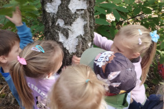 IMG_20230927_110203477