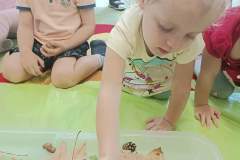 IMG_20230928_092114
