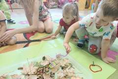 IMG_20230928_092357