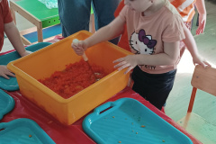 IMG_20240404_093128494