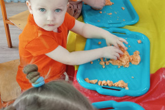 IMG_20240404_094255731