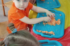 IMG_20240404_094256797