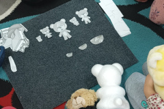 IMG_20231124_090742696