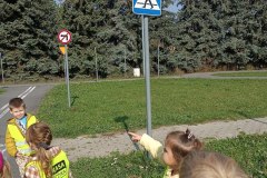 IMG_20240918_105408