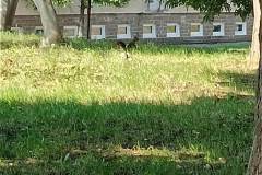 IMG_20240918_111153