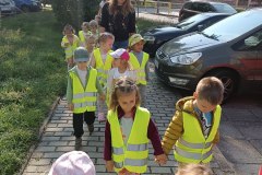 IMG_20240918_111451