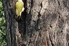 IMG_20240918_135716
