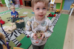 IMG_20251016_094249338