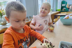 IMG_20251016_095603502_HDR