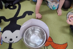 IMG_20251128_120921741_HDR