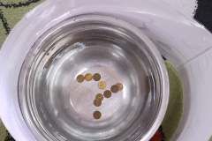 IMG_20251128_121705330