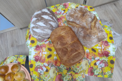 IMG_20251016_084830056