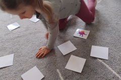 IMG_20260223_093305719