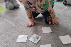 IMG_20260223_094255395