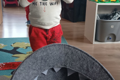 IMG_20231109_094938484