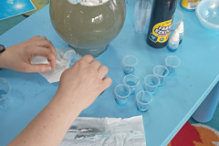 IMG_20240305_092309571