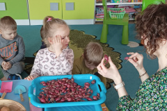 IMG_20240307_090436902