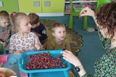 IMG_20240307_090437990