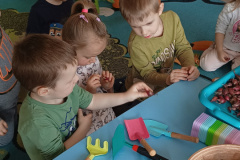 IMG_20240307_090540256