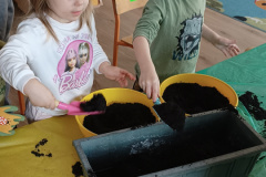 IMG_20240307_093530116