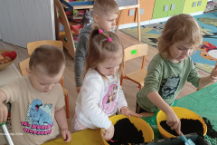 IMG_20240307_093634021
