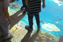 IMG_20231026_123005583